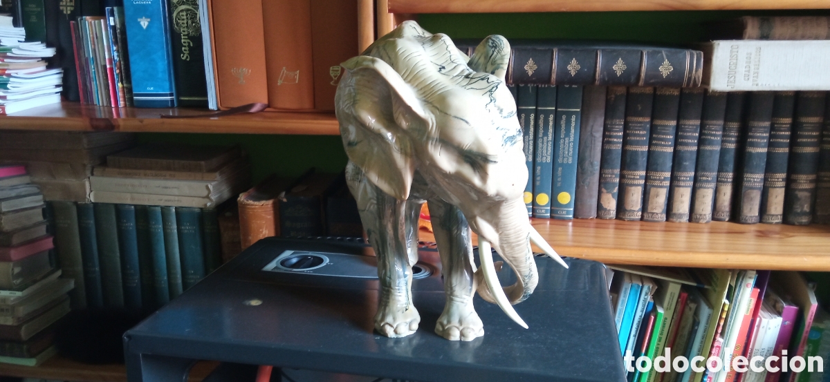 Arte: Gran elefante en piedra? - Foto 5