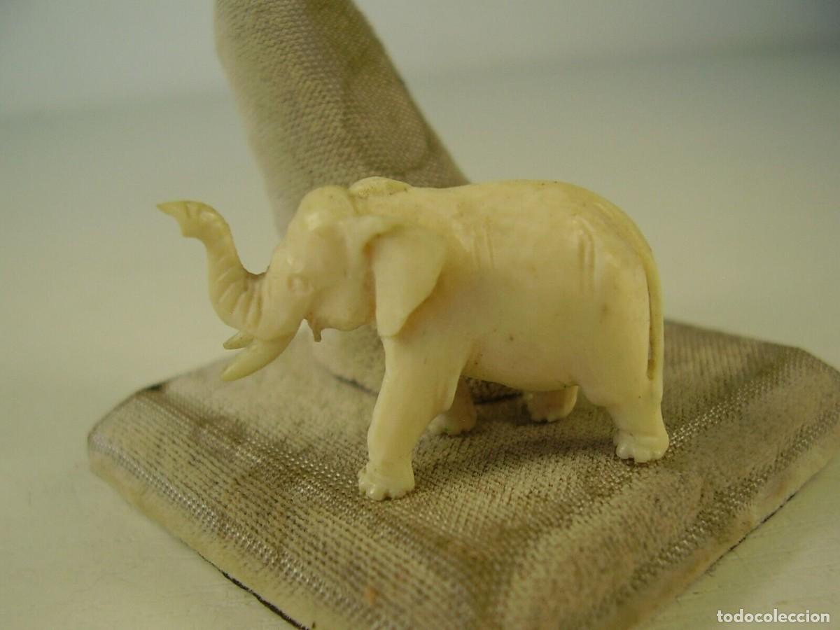 Arte: Antiguo elefante tallado. - Foto 1
