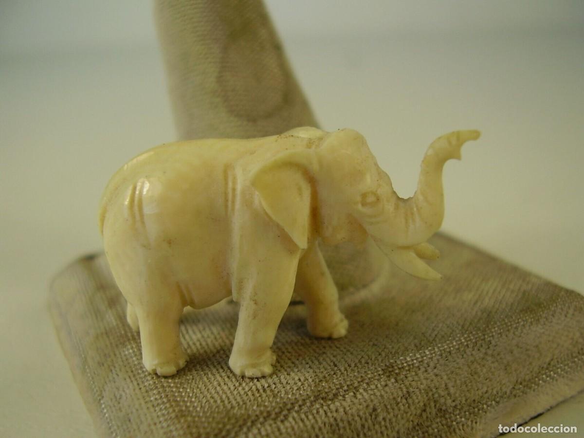 Arte: Antiguo elefante tallado. - Foto 2