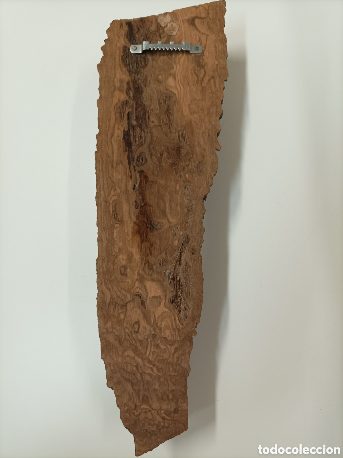 Arte: Indio tallado en tronco de madera - Foto 9