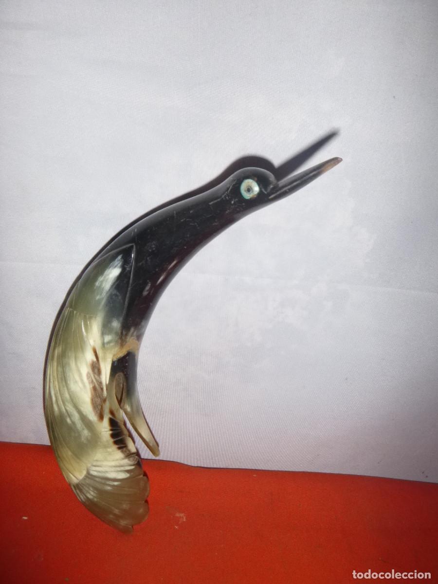 Arte: TALLA CUERNA FORMA DE PAJAROO - Foto 1