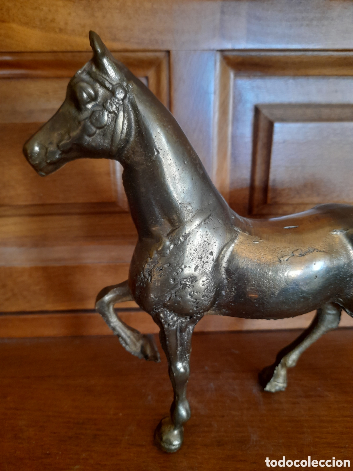 Arte: Caballo de bronce - Foto 2