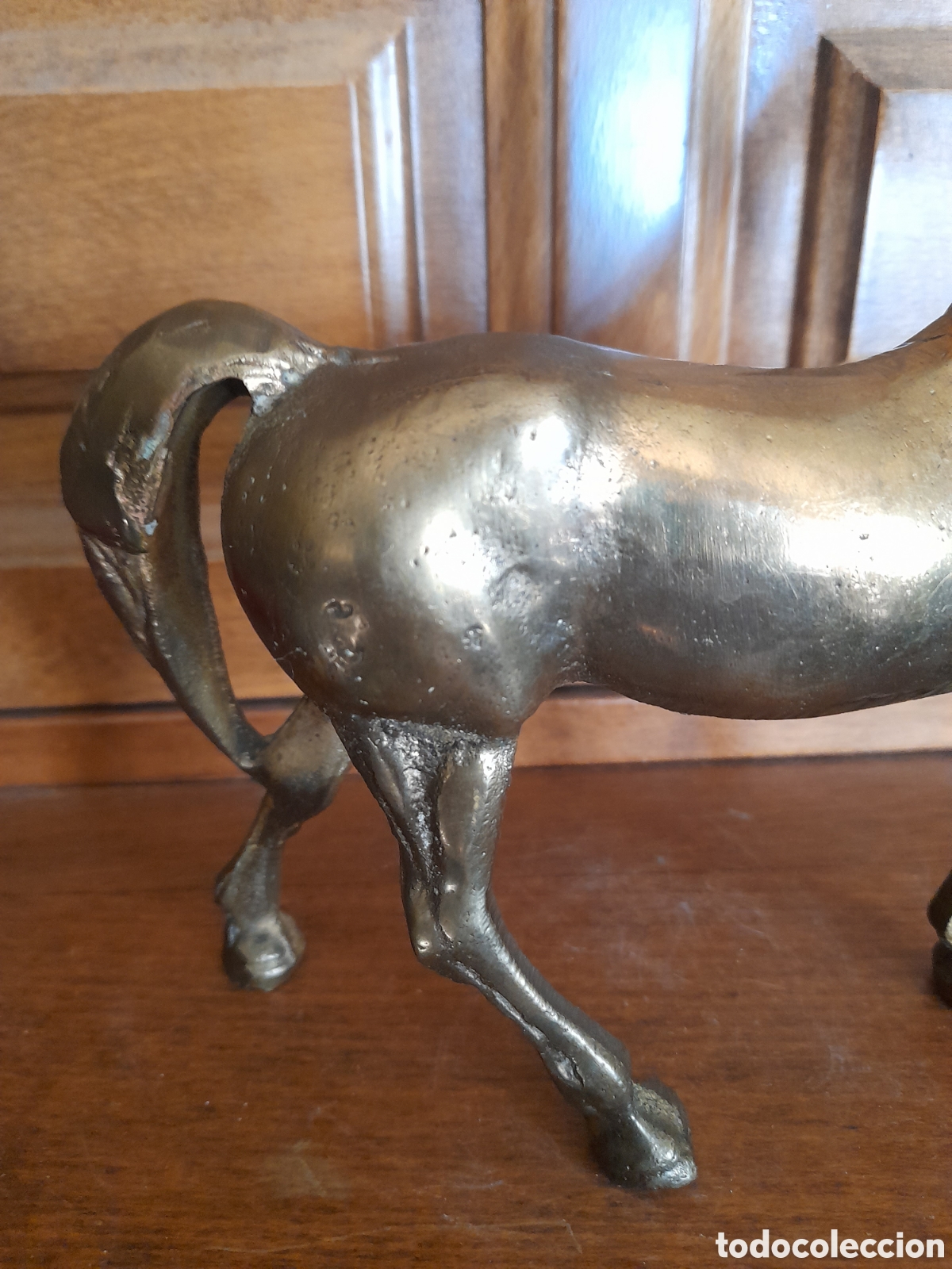 Arte: Caballo de bronce - Foto 6