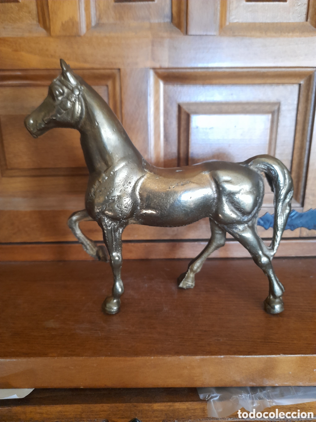 Arte: Caballo de bronce - Foto 1