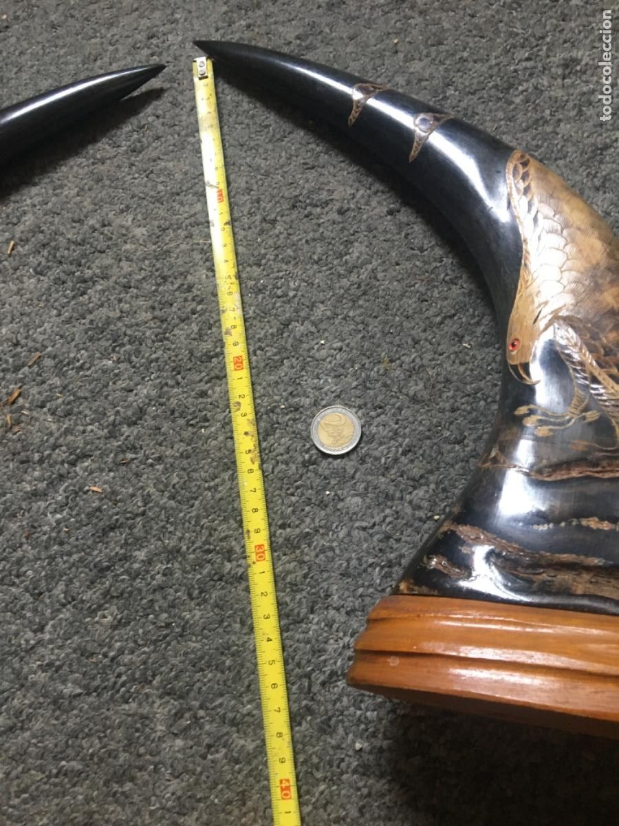 Arte: Cuernos bufalo tallados - Foto 7