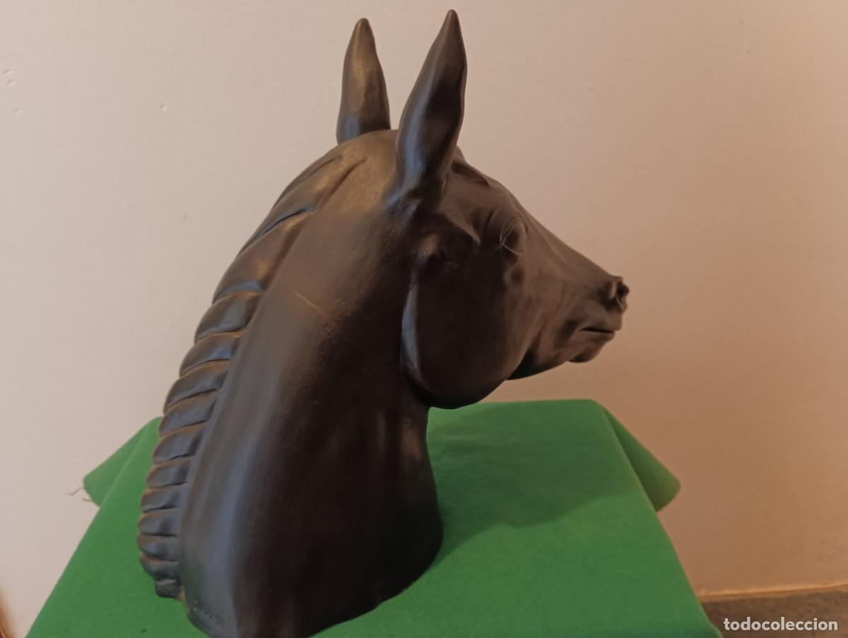 Arte: Caballo,cabeza en barro cocido . - Foto 4