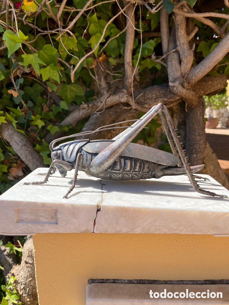 Arte: Saltamontes de bronce - Foto 2