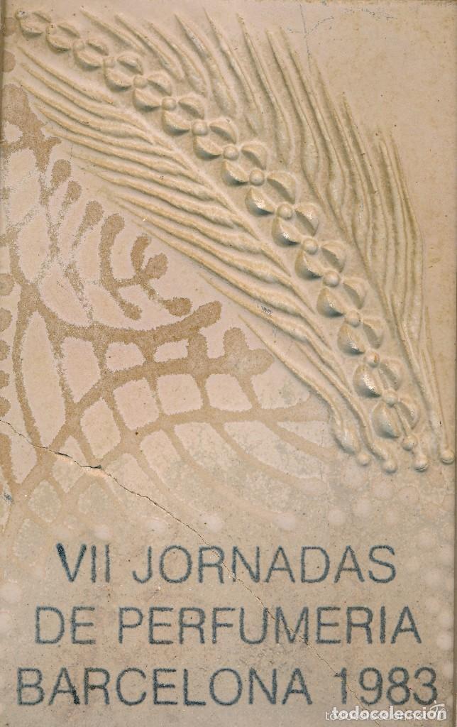 Arte: ANTONI CUMELLA - Foto 5