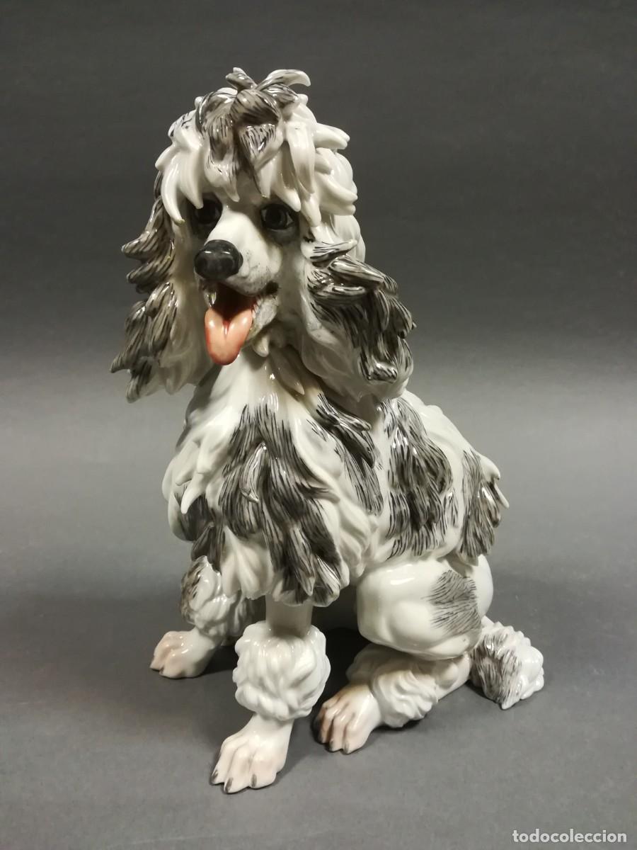 Arte: PERRO DE PORCELANA ALGORA - Foto 1