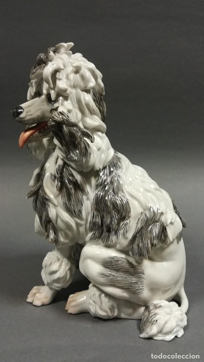 Arte: PERRO DE PORCELANA ALGORA - Foto 6