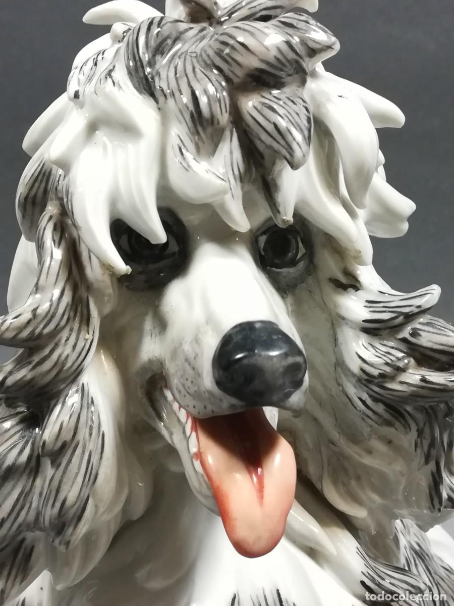 Arte: PERRO DE PORCELANA ALGORA - Foto 8