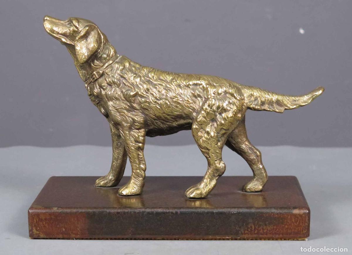 Arte: SETTER. BRONCE. HACIA 1950 - Foto 1