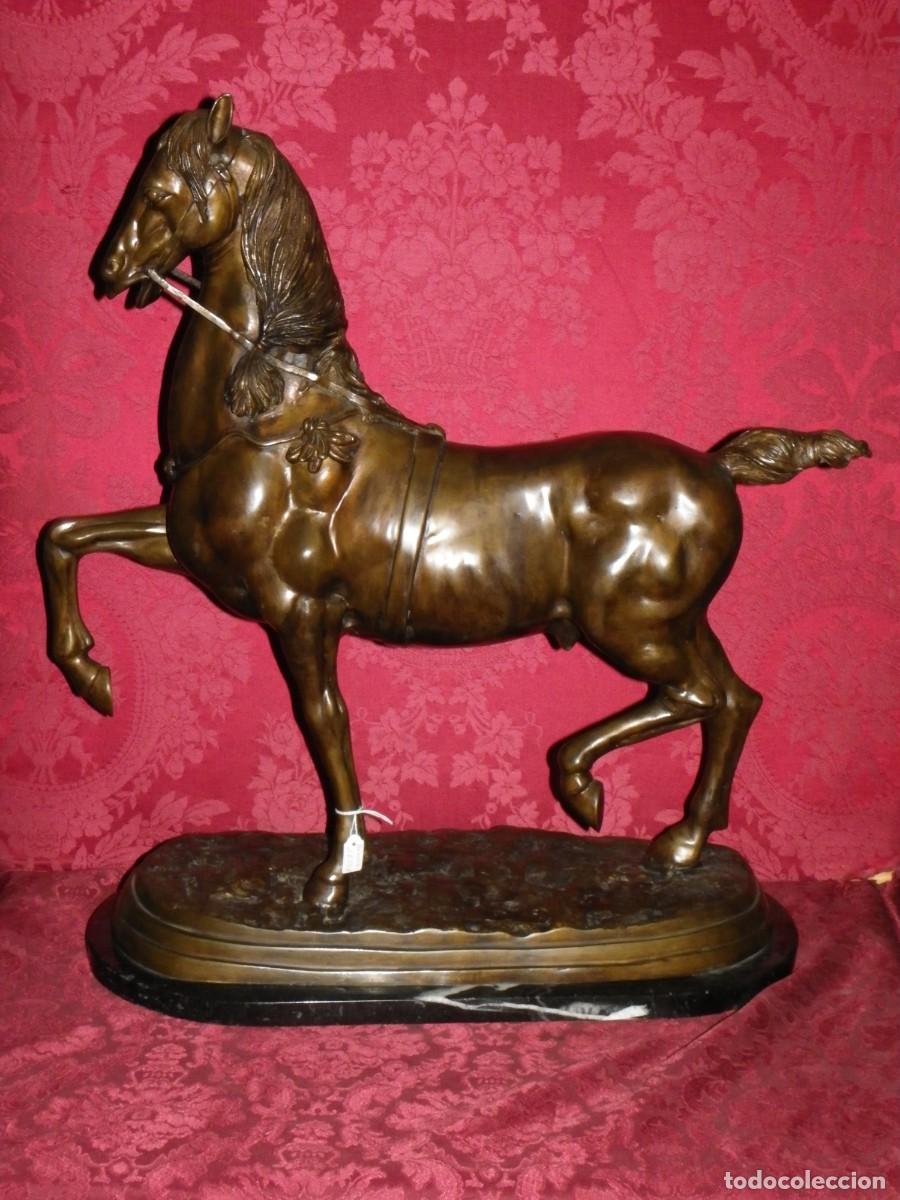 Arte: Caballo de doma en bronce antiguo - Foto 1