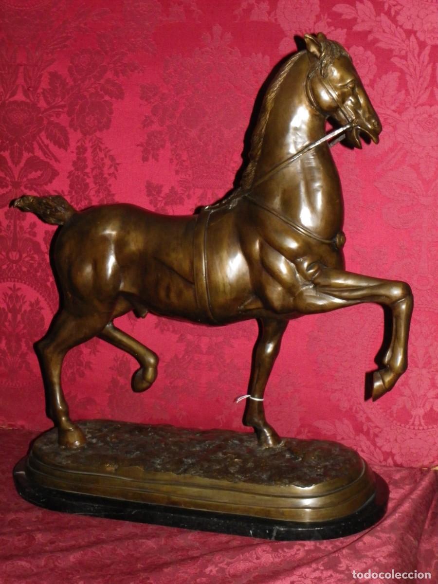 Arte: Caballo de doma en bronce antiguo - Foto 2