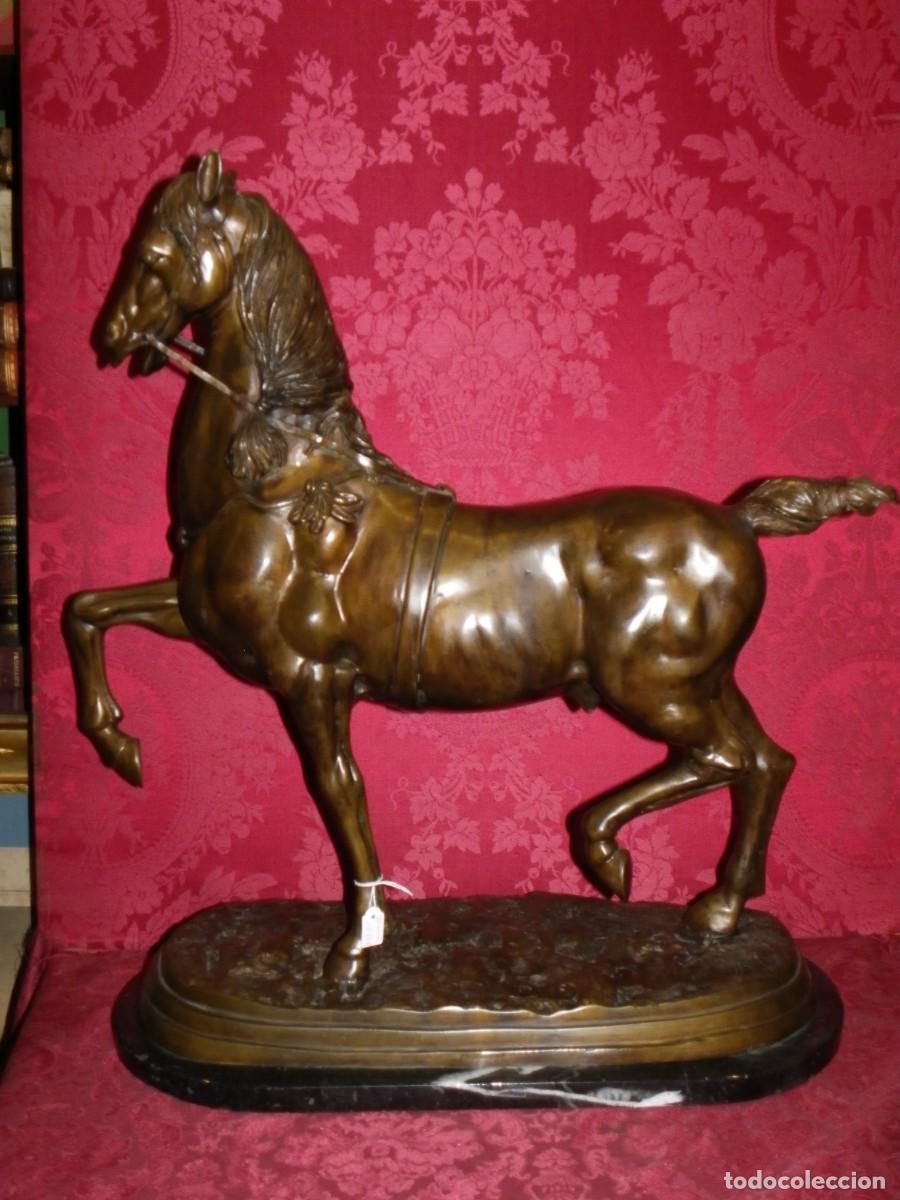 Arte: Caballo de doma en bronce antiguo - Foto 3