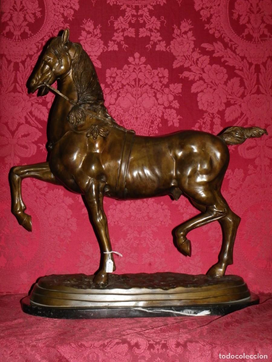 Arte: Caballo de doma en bronce antiguo - Foto 4