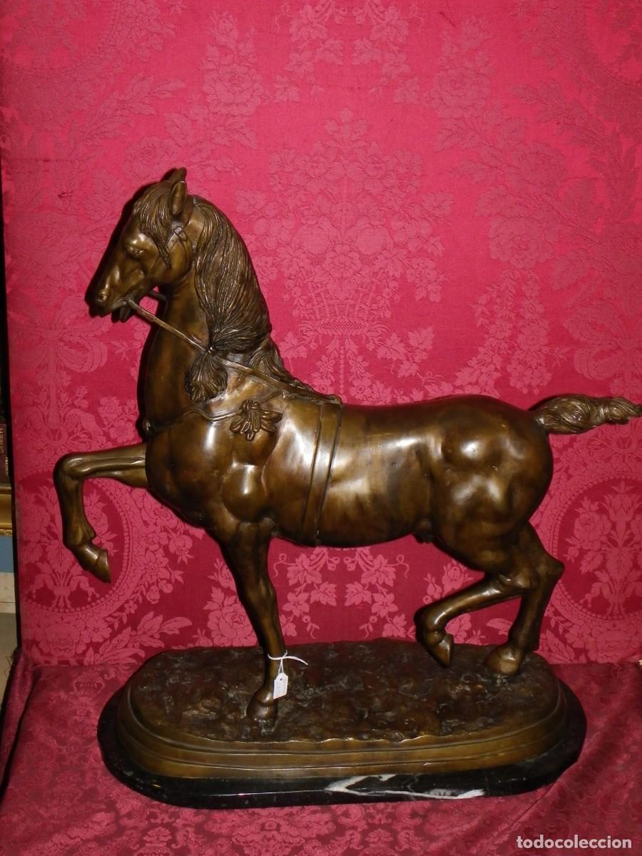 Arte: Caballo de doma en bronce antiguo - Foto 5