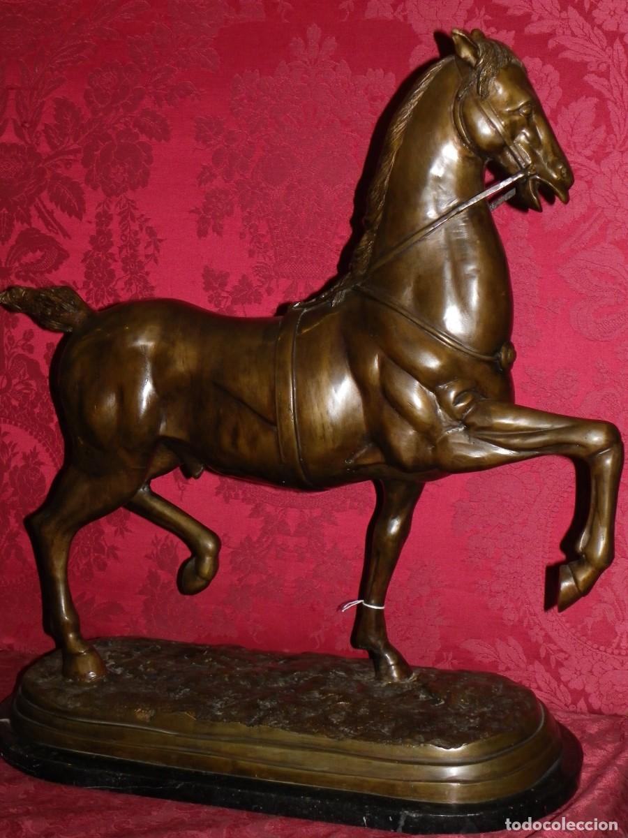 Arte: Caballo de doma en bronce antiguo - Foto 6