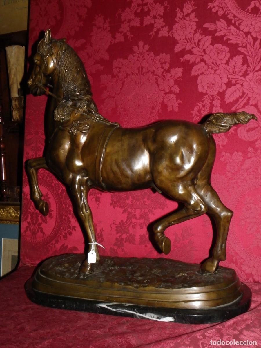 Arte: Caballo de doma en bronce antiguo - Foto 7