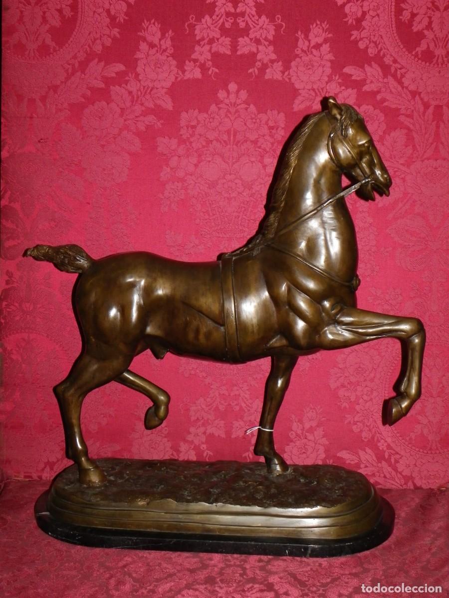 Arte: Caballo de doma en bronce antiguo - Foto 8