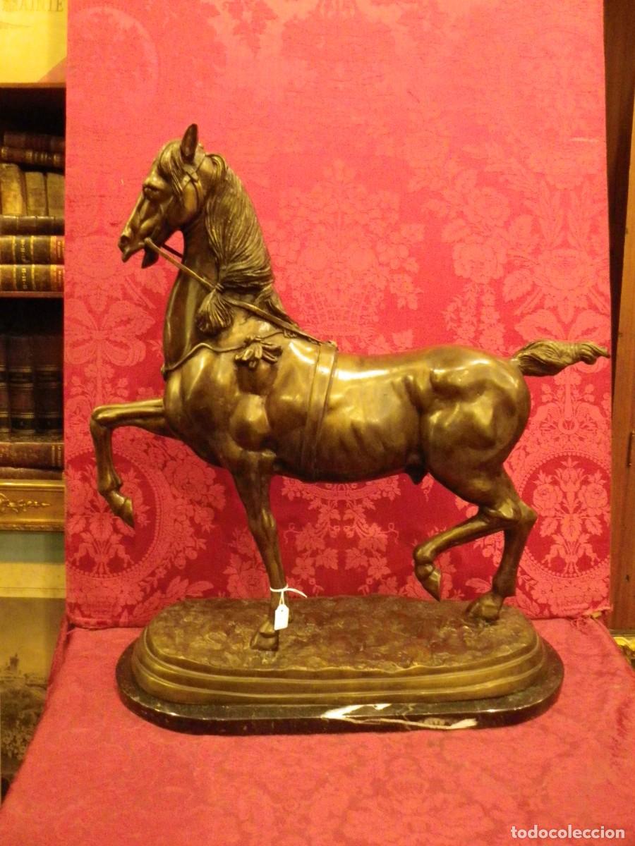 Arte: Caballo de doma en bronce antiguo - Foto 9