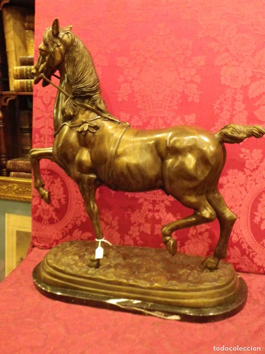 Arte: Caballo de doma en bronce antiguo - Foto 10