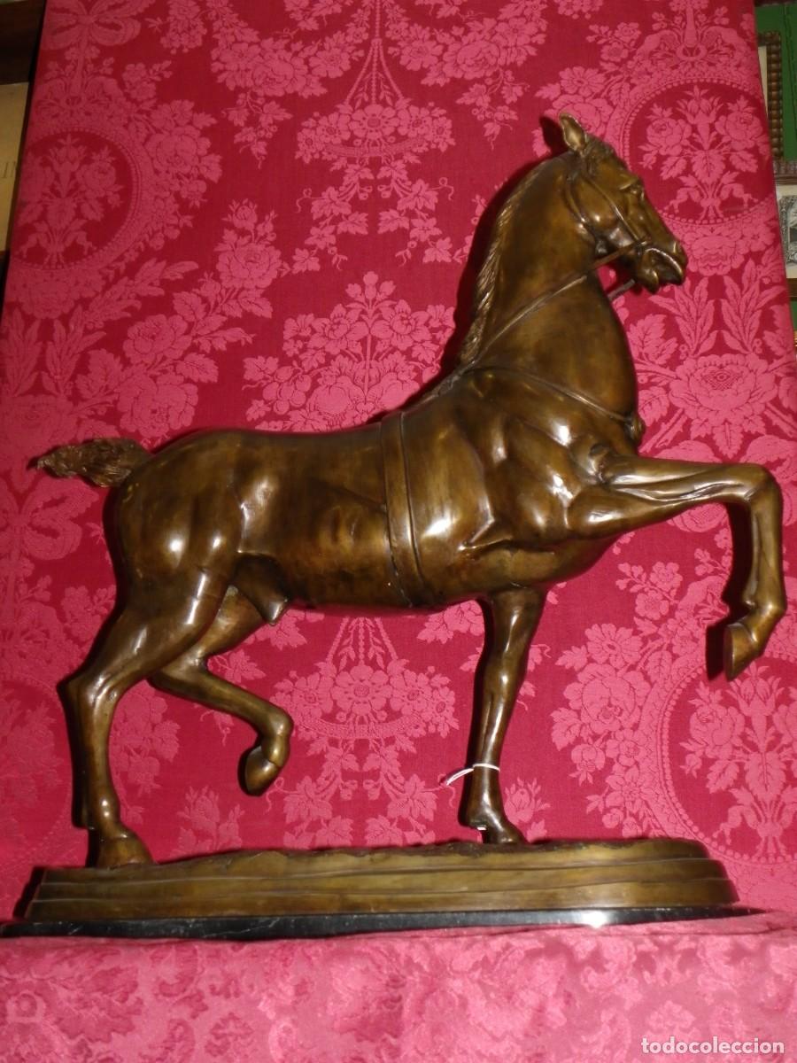Arte: Caballo de doma en bronce antiguo - Foto 11
