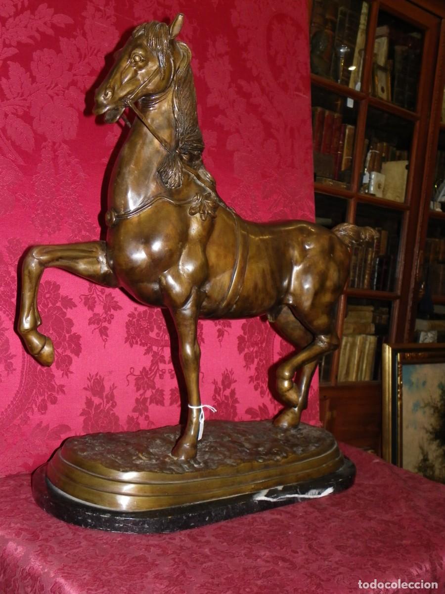 Arte: Caballo de doma en bronce antiguo - Foto 12