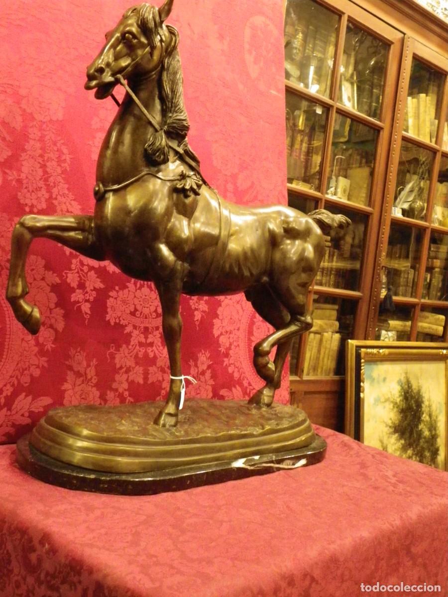 Arte: Caballo de doma en bronce antiguo - Foto 13