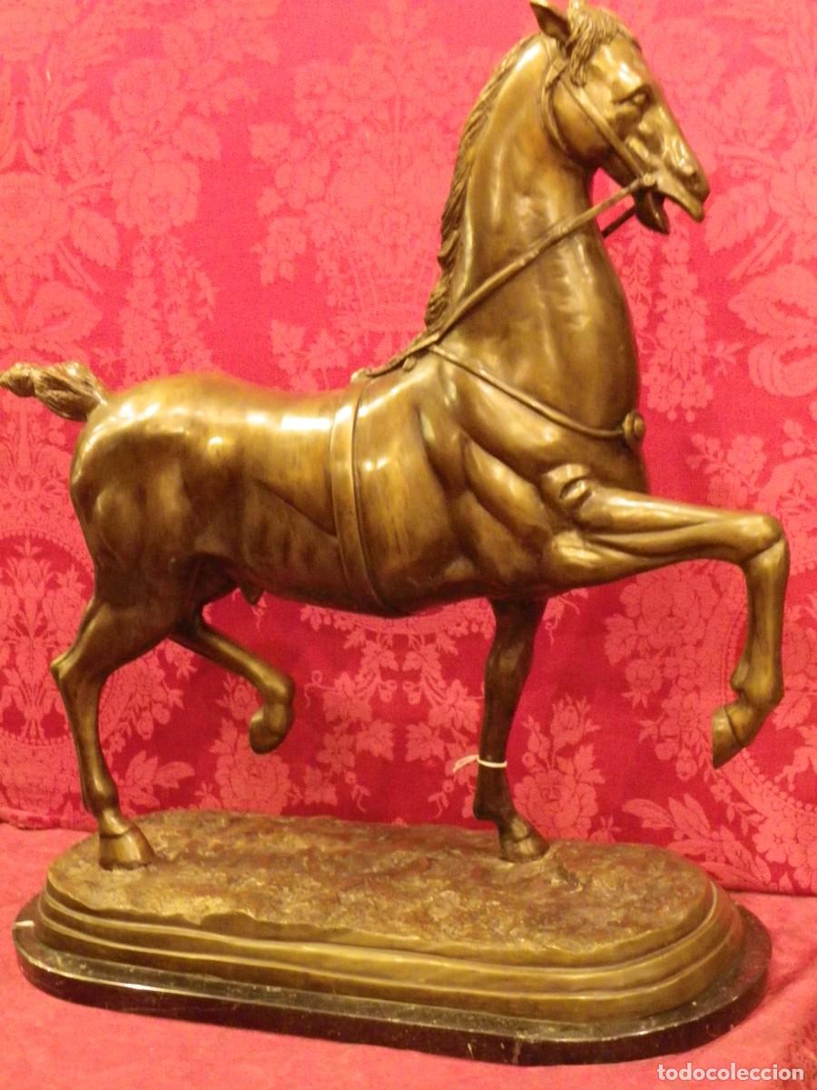 Arte: Caballo de doma en bronce antiguo - Foto 14