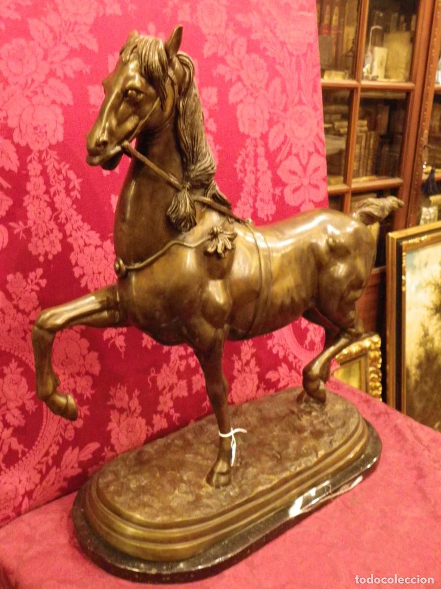 Arte: Caballo de doma en bronce antiguo - Foto 15