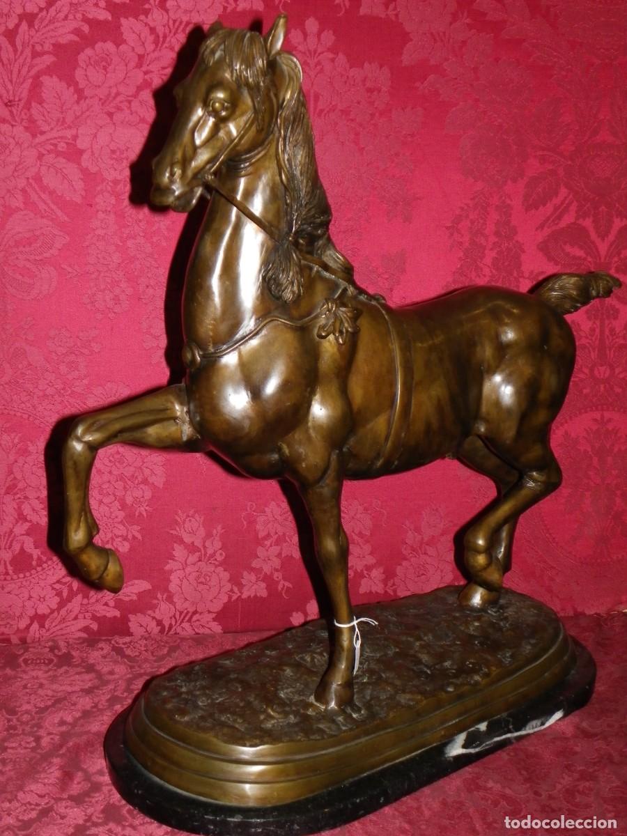 Arte: Caballo de doma en bronce antiguo - Foto 16