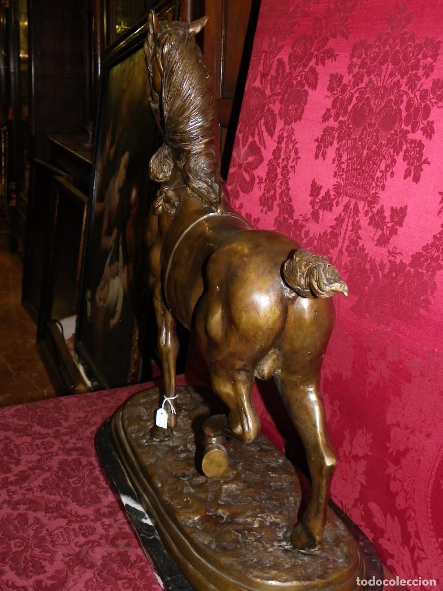 Arte: Caballo de doma en bronce antiguo - Foto 17