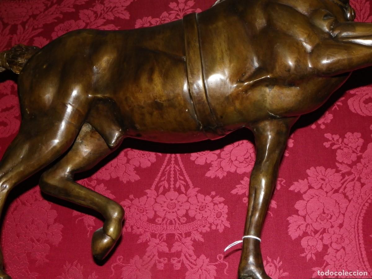 Arte: Caballo de doma en bronce antiguo - Foto 19