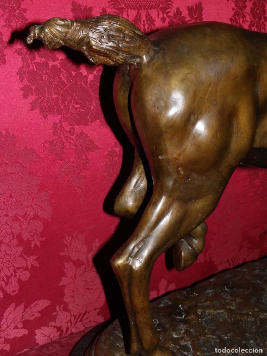 Arte: Caballo de doma en bronce antiguo - Foto 20