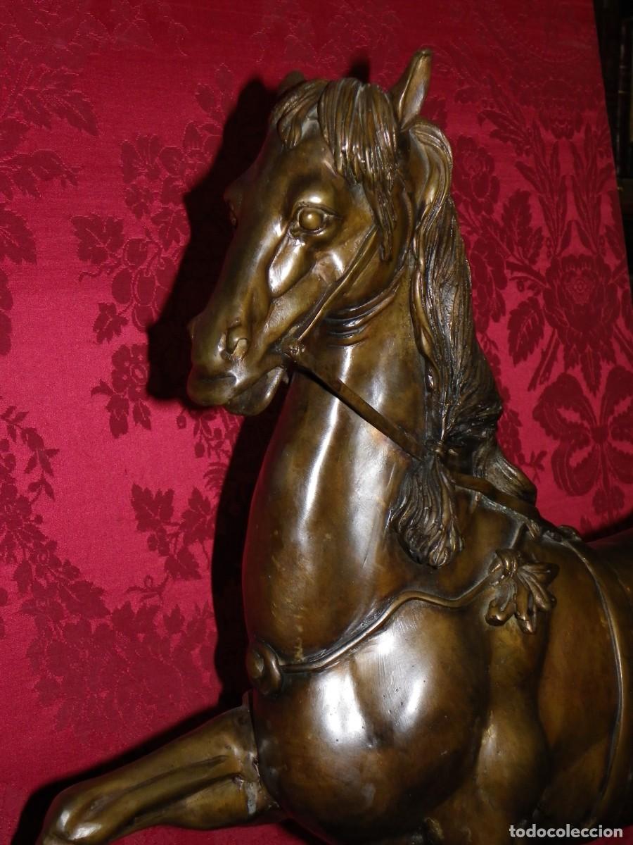 Arte: Caballo de doma en bronce antiguo - Foto 21