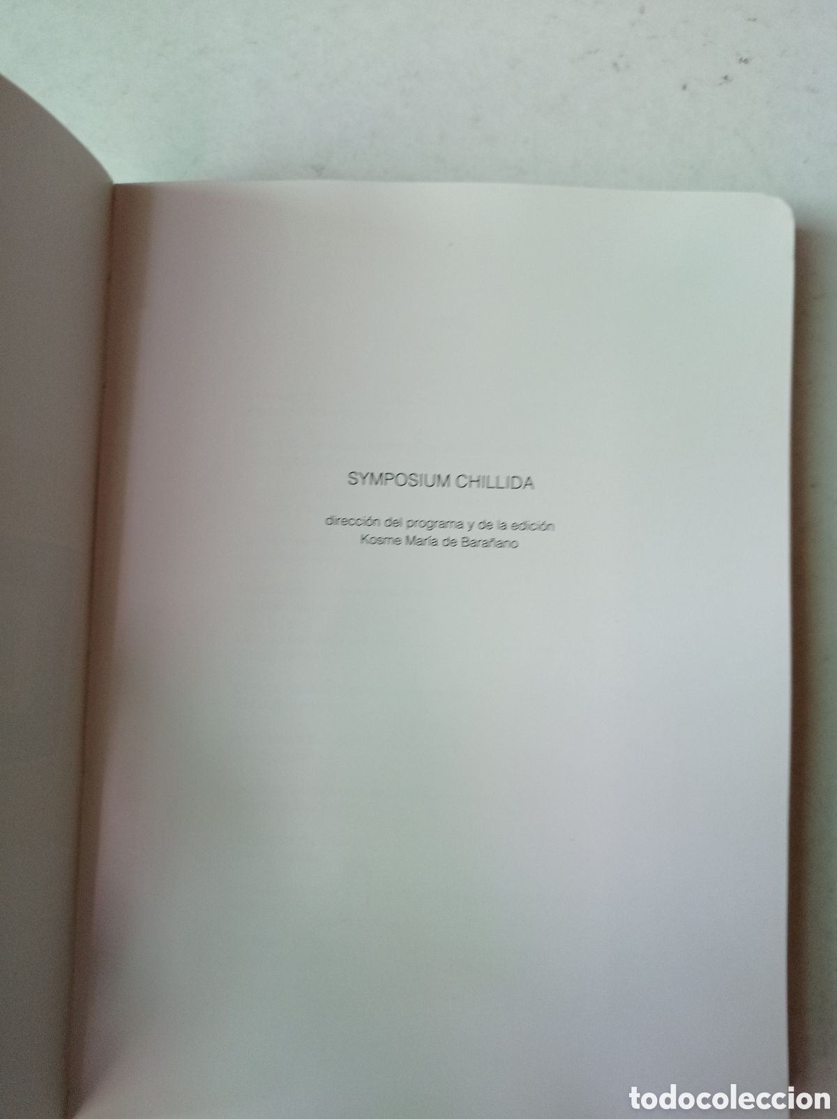 Arte: Symposium Chillida. - Foto 3
