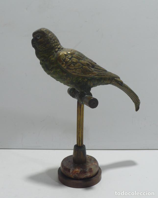 Arte: LORO EN BRONCE - Foto 2