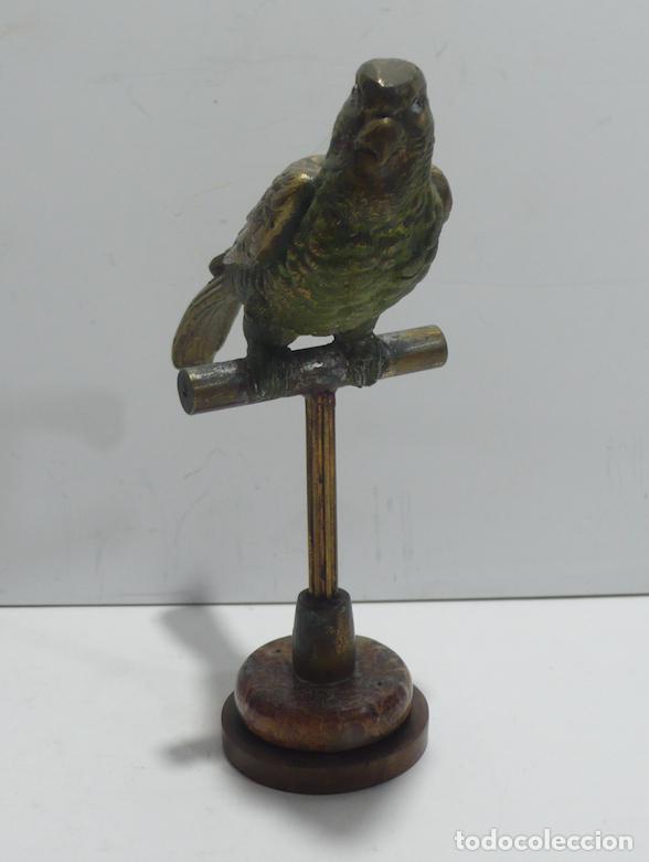 Arte: LORO EN BRONCE - Foto 3
