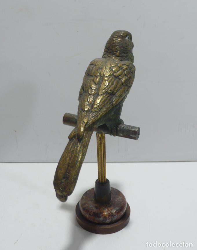 Arte: LORO EN BRONCE - Foto 4