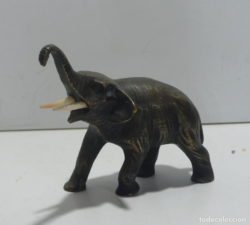 Arte: ELEFANTE EN BRONCE - Foto 2