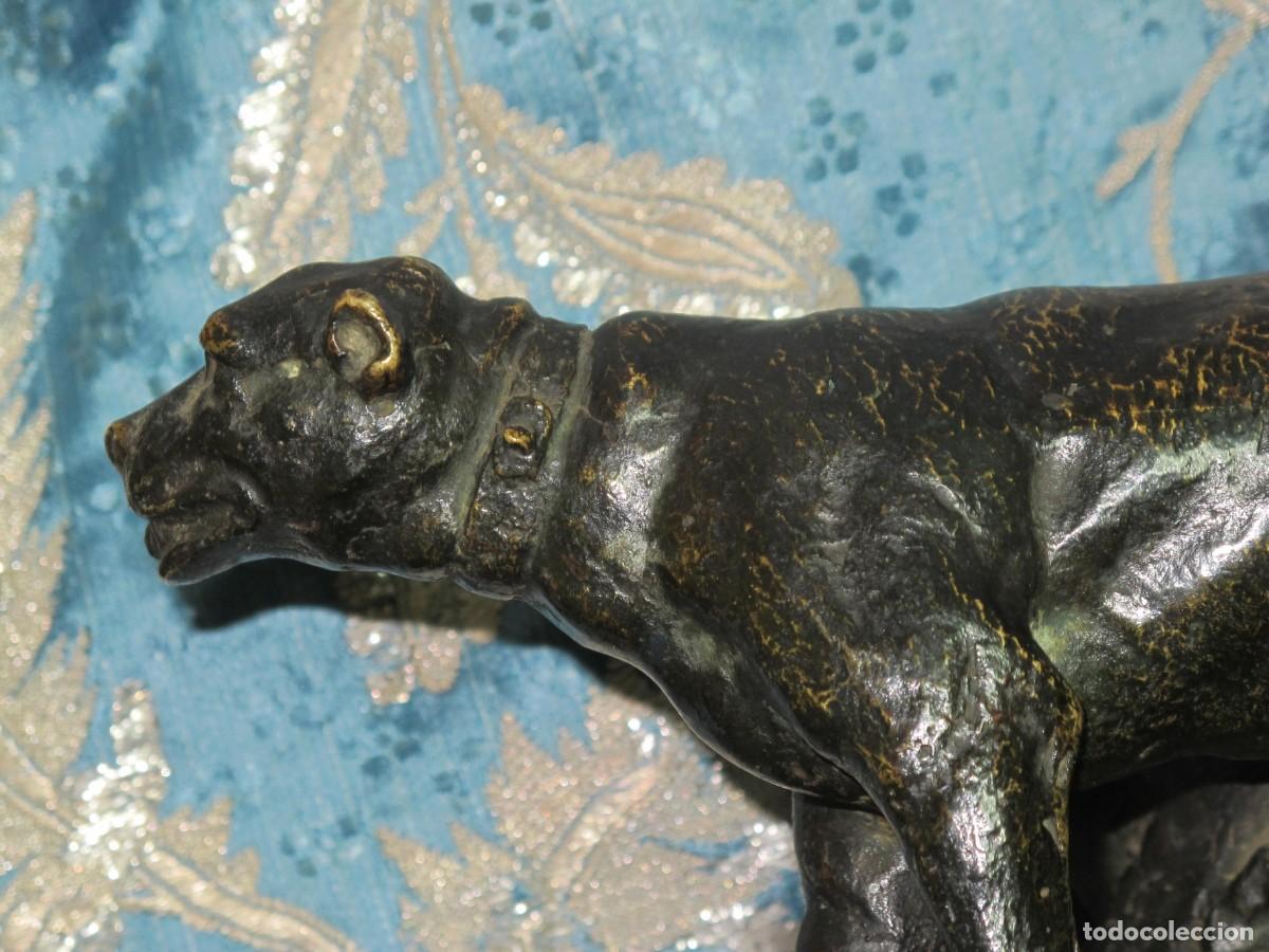 Arte: ESCULTURA DE BRONCE, PERRO - Foto 6