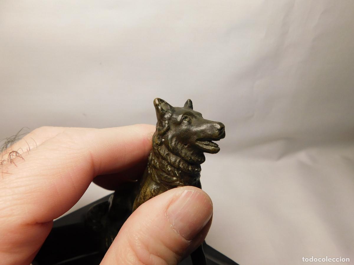 Arte: Figura de Perro en bronce 8 cm - Foto 12