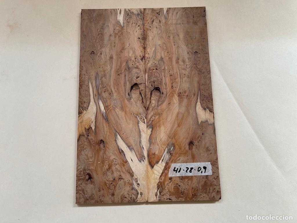 Arte: MADERA DE TEJO montada en espejo - Foto 1