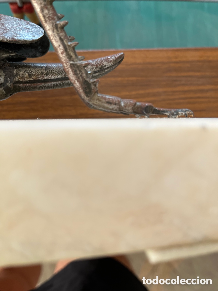 Arte: Saltamontes de bronce - Foto 6