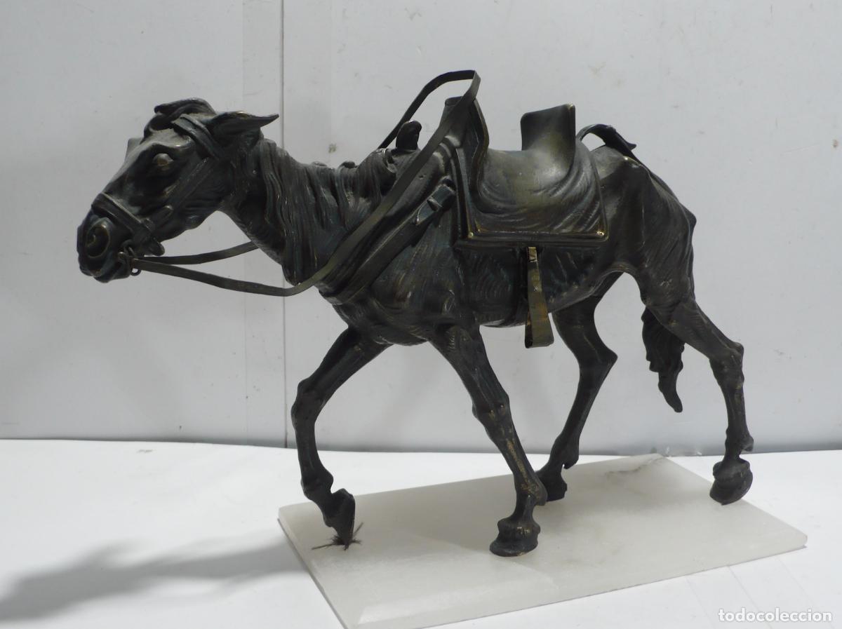 Arte: escultura de caballo en bronce - Foto 1