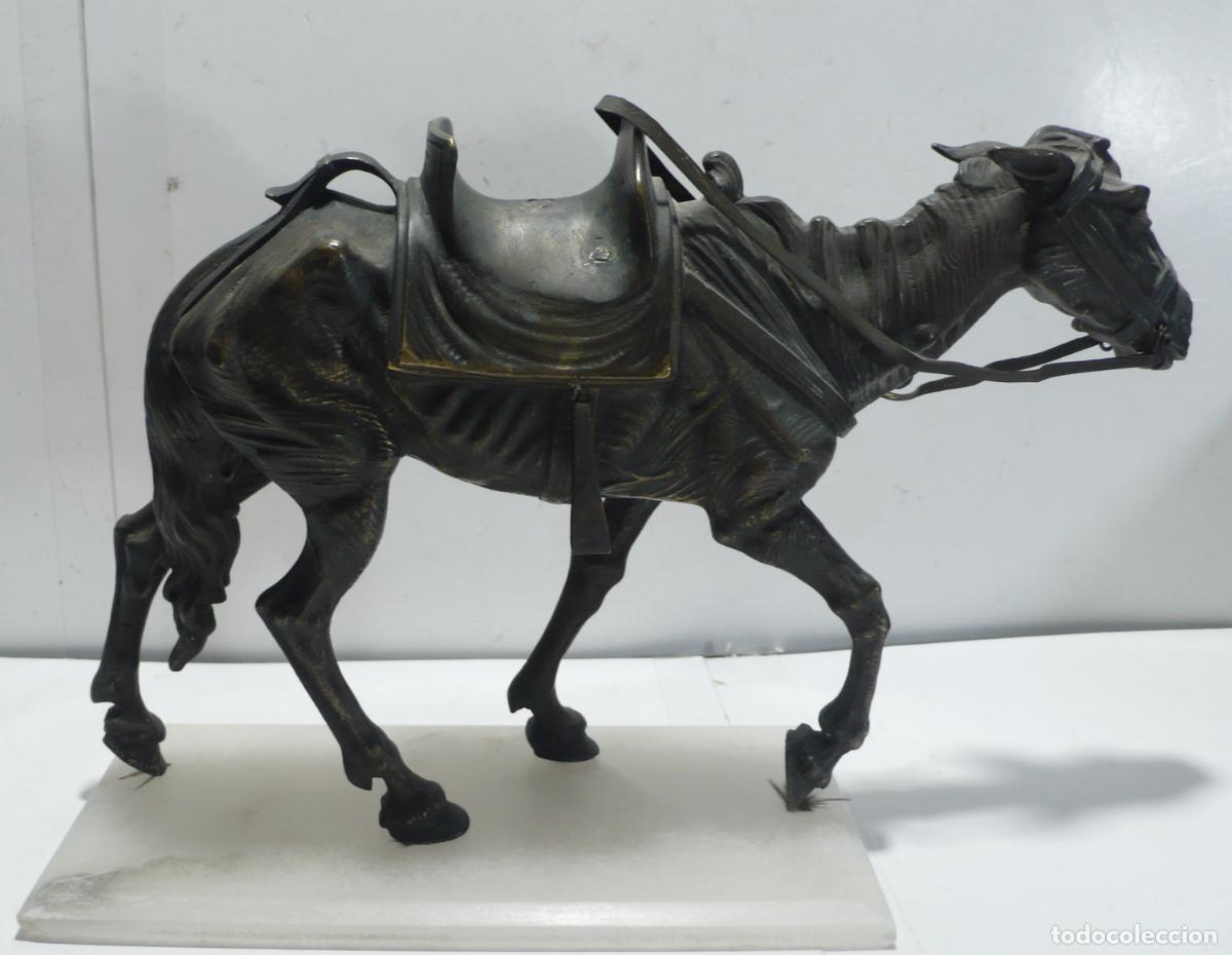 Arte: escultura de caballo en bronce - Foto 2