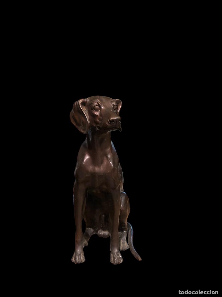 Arte: precioso perrito de bronce - Foto 1