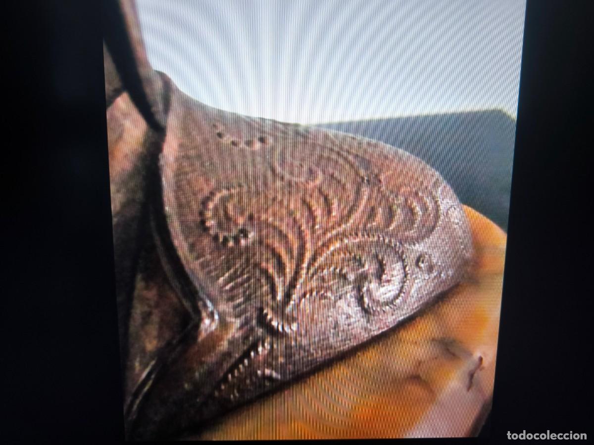 Arte: Busto de Dante Alghieri de Bronce. - Foto 2