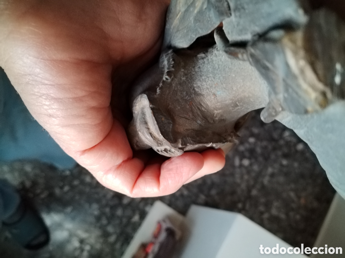 Arte: Bronce. &Aacute;rabe. Buen tama&ntilde;o. - Foto 14